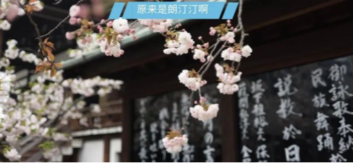 未雨綢繆系列（五） | 一分鐘了解日本本科留學(xué)申請(qǐng)流程，重點(diǎn)都幫你規(guī)劃好了！
